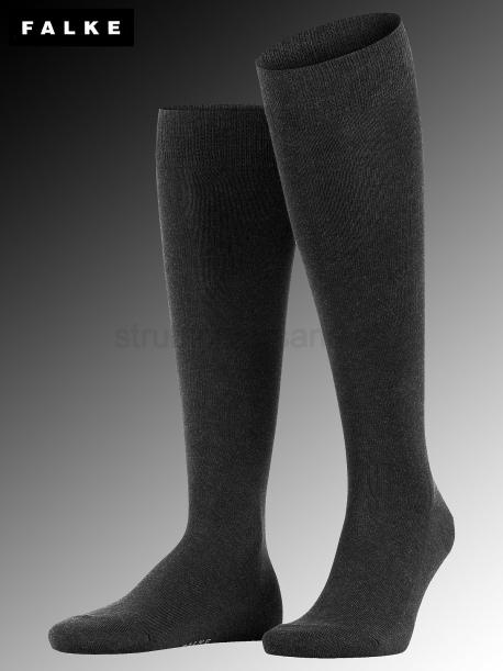 FAMILY chaussettes au genou pour hommes de Falke - 3080 anthracite mel.