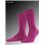 CLIMA WOOL chaussettes hommes Falke - 8390 berry