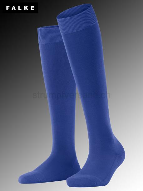 CLIMA WOOL chaussettes hautes de Falke - 6065 imperial