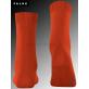 COSY WOOL chaussettes pour femmes de Falke - 8095 ziegel