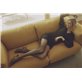 LIGHT & COOL collant Fogal - 2100 noir