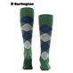KING chaussettes hautes de Burlington - 7502 eucalyptus