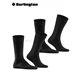 EVERYDAY UNI chaussettes pour hommes de Burlington - 3000 noir