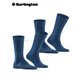 EVERYDAY UNI chaussettes pour hommes de Burlington - 6121 marine