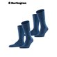 EVERYDAY UNI chaussettes de Burlington - 6121 marine