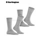 EVERYDAY UNI chaussettes pour hommes de Burlington - 3400 light grey