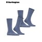 EVERYDAY UNI chaussettes pour hommes de Burlington - 6660 light denim