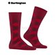 DANNY chaussettes pour hommes de Burlington - 8033 cranberry