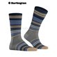 STRIPE chaussettes pour hommes de Burlington - 3070 dark grey mel.