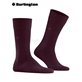 LEEDS chaussettes pour hommes de Burlington - 8435 claret