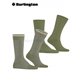 EVERYDAY STRIPE MIX chaussettes pour hommes de Burlington - 7472 salvia