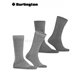 EVERYDAY STRIPE MIX chaussettes pour hommes de Burlington - 3390 light grey mel.