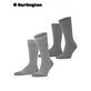 EVERYDAY STRIPE MIX chaussettes de Burlington - 3390 light grey mel.