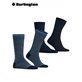 EVERYDAY STRIPE MIX chaussettes pour hommes de Burlington - 6120 marine