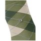 MANCHESTER chaussettes hommes de Burlington - 7473 lime green