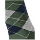 MANCHESTER chaussettes hommes de Burlington - 7982 mountain green