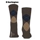 DUNDEE chaussettes pour hommes de Burlington - 5046 buckeye mel.