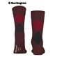 DUNDEE chaussettes hommes de Burlington - 8005 merlot