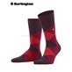 CLYDE chaussette de Burlington - 8375 claret