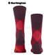 CLYDE chaussettes pour hommes de Burlington - 8375 claret