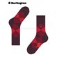 CLYDE chaussettes de Burlington - 8375 claret