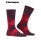 CLYDE chaussette pour homme de Burlington - 8375 claret