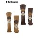EVERYDAY ARGYLE chaussettes hommes de Burlington - 5152 brown sugar