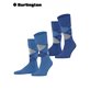 EVERYDAY ARGYLE chaussettes Burlington pour hommes - 6337 cornflower blue