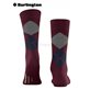 EDINBURGH chaussettes pour hommes de Burlington - 8435 claret
