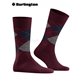 EDINBURGH chaussette pour homme de Burlington - 8435 claret