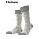 PAISLEY chaussettes Burlington pour hommes - 3400 light grey