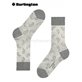 PAISLEY chaussettes de Burlington - 3400 light grey