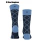 FERRY ROAD chaussettes hommes de Burlington - 6120 marine