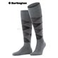 PRESTON chaussettes au genou de Burlington - 3400 light grey