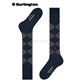 EDINBURGH chaussettes de Burlington - 6123 marine