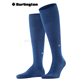 DUBLIN chaussette au genou de Burlington - 6583 night blue