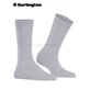 LADY chaussettes pour femmes de Burlington - 3221 arctic mel.