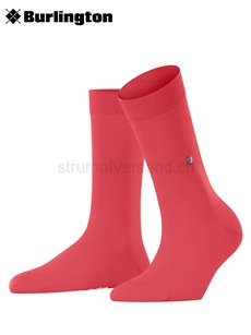 Lady (Lot de 3)