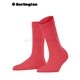 Lady (Lot de 3)