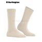 ORKNEY chaussettes pour femmes de Burlington - 4019 cream