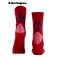 MARYLEBONE chaussettes femmes de Burlington - 8033 cranberry