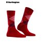 MARYLEBONE chaussettes pour femmes de Burlington - 8033 cranberry