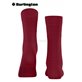 BLOOMSBURY chaussette pour femme de Burlington - 8033 cranberry