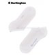 MERSEYSIDE chaussettes courtes de Burlington - 2040 off-white