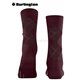 MARYLEBONE GLITTER chaussettes femmes de Burlington - 8435 claret