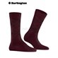 MARYLEBONE GLITTER chaussettes pour femmes de Burlington - 8435 claret