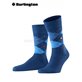 PRESTON chaussettes hommes de Burlington - 6000 royal blue