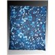 Coussin noyau de cerises
