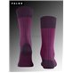 OXFORD STRIPE chaussettes Falke pour hommes - 8282 aubergine OXFORD STRIPE chaussettes Falke pour hommes - 8282 aubergine